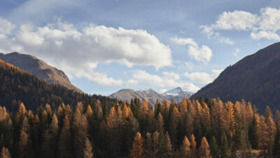 Engadiner Herbst